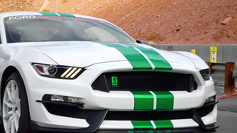 Hoover Stang